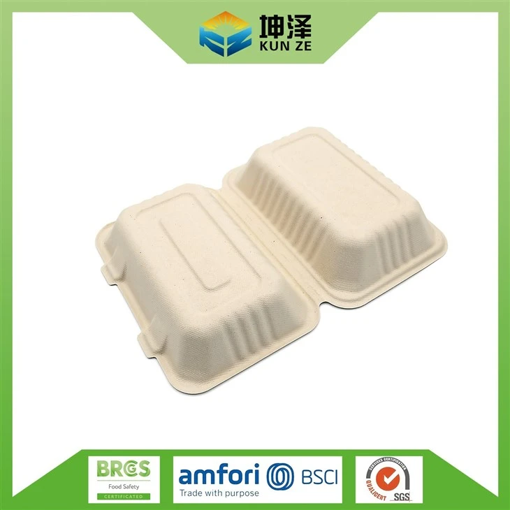 Bagasse Bento Box