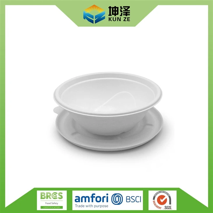 Bagasse Take Out Containers