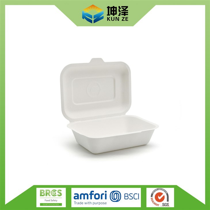 Disposable Container Food