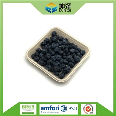 Pulp Fruit Punnets