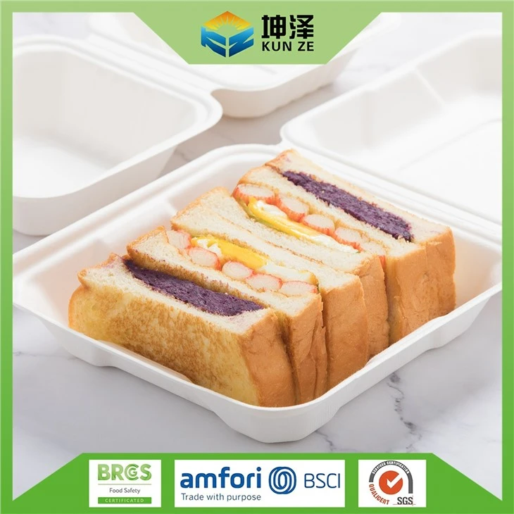 Sugarcane Bagasse Box
