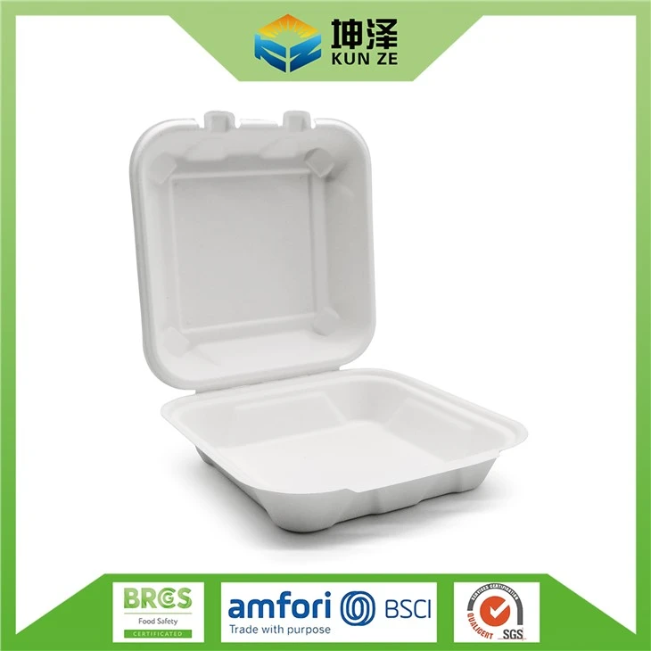 Sugarcane Bagasse Box