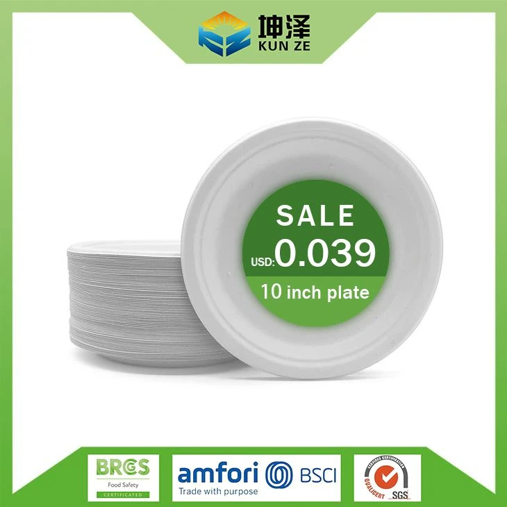 Sustainable Paper Plates