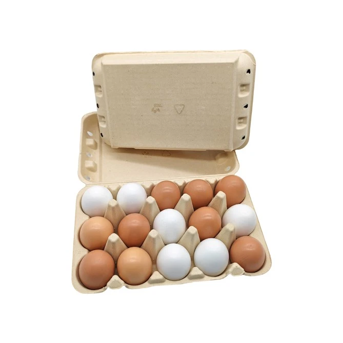 Paper Egg Container best